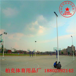 景区双节照明灯杆定制指南 阳江路灯柱安装与6米弯头灯杆厂选择建议