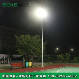 中国灯柱灯杆供应商价格解析 厂家直供的性价比优势